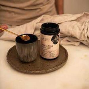 SHILAJIT 19